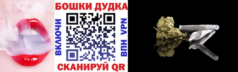 Канабис сатива Приозерск
